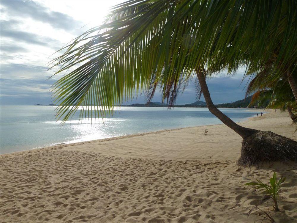Palm Point Village Ko Samui Eksteriør billede
