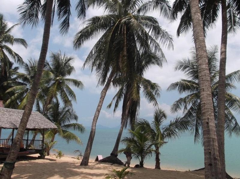 Palm Point Village Ko Samui Eksteriør billede