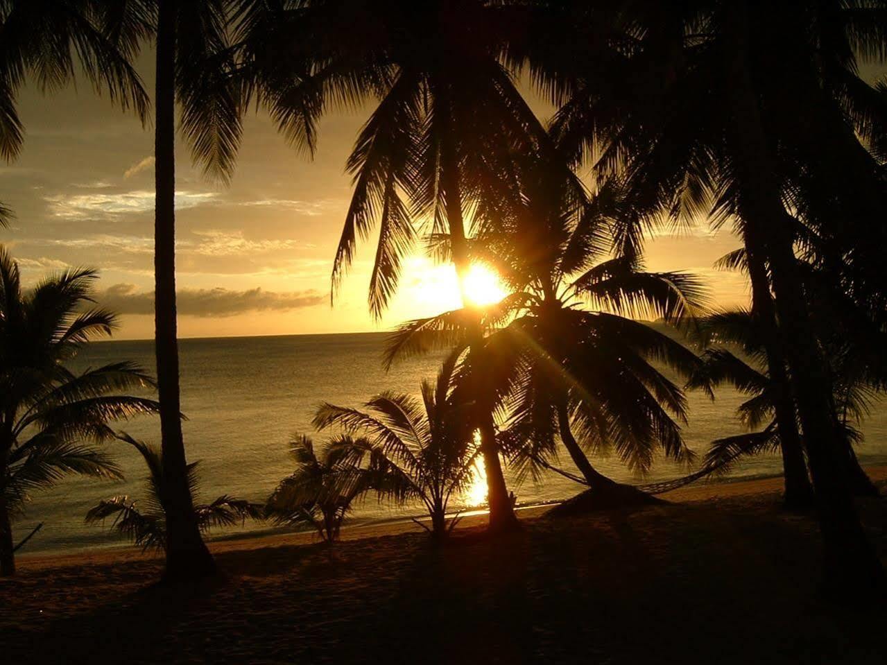 Palm Point Village Ko Samui Eksteriør billede